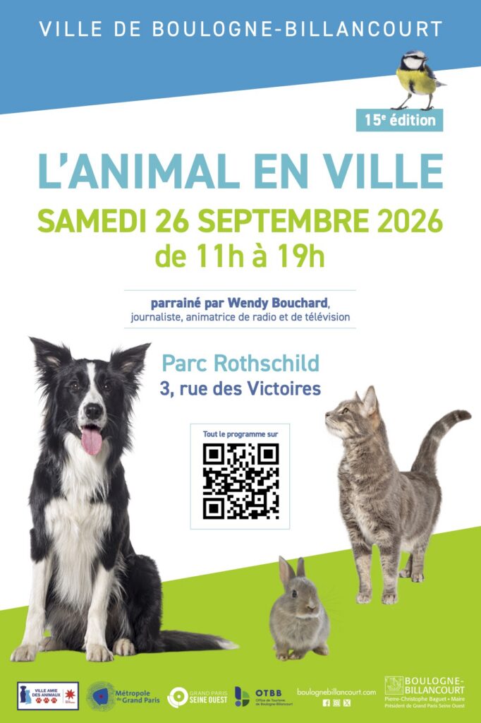 animal-en-ville