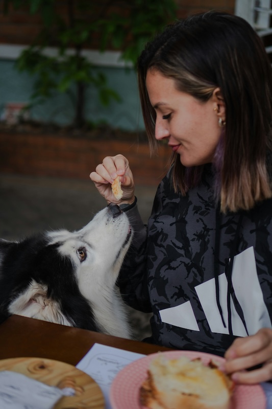 doggy-brunch-paris
